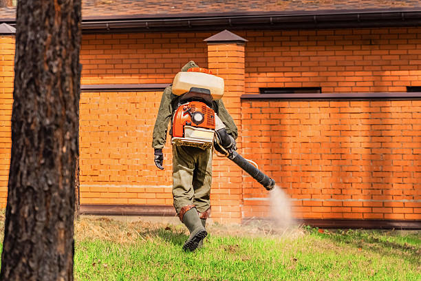 Trusted Mosquito Control service in Powder Springs, GA - Nex Pest Control